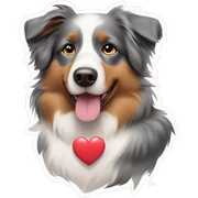 Australian shepered dog with heart bow sticker