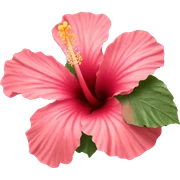 hibiscus sticker