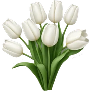 white tulip bouquet  sticker