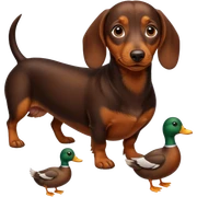 dachshundand ducks sticker