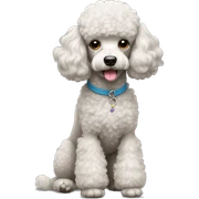 poodle sticker