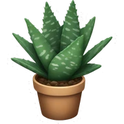 Haworthia zebra succulent  sticker