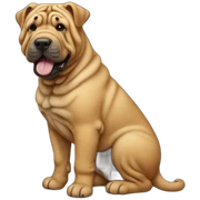 Shar pei sticker