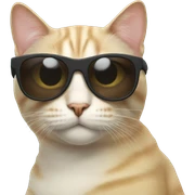 Cat with sunglasses sticker