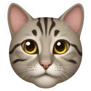 Katze sticker