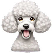 Poodle  sticker