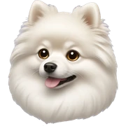 White Pomeranian  sticker
