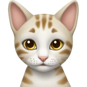 девочка с котом sticker