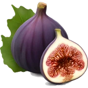 Fig sticker