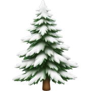  actual white fir christmas tree isolated.  sticker