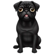 Black pug sticker