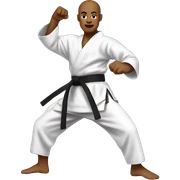 karate sticker