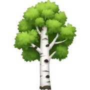 Birch sticker