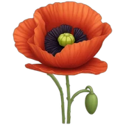 poppy sticker