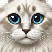 ragdoll cat sticker