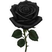 Black roses sticker