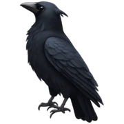 Rook sticker