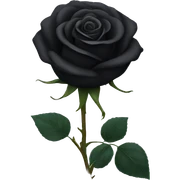 Black rose sticker