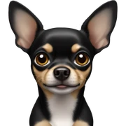 black-chihuahua sticker