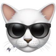 Cat with sunglasses sticker