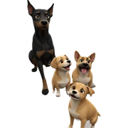 dog looking out window sticker