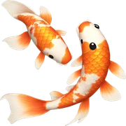 koi sticker
