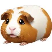 Guinea pig with a broken foot  sticker
