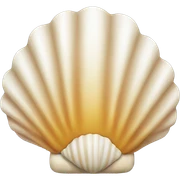 high quality shell sticker