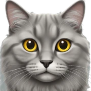 gray british longhair cat sticker