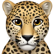 jaguar sticker