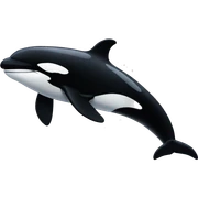 Orca sticker