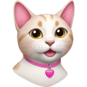 Cat and pink  sticker