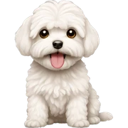 Maltipoo sticker