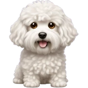 Maltipoo sticker