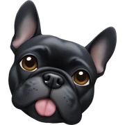 Black Frenchie laying  sticker