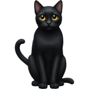 black cat sticker