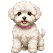 maltipoo dog sticker