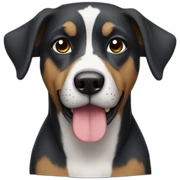 Hund sticker