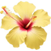 pastel yellow hibiscus sticker
