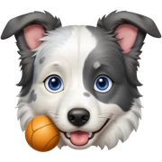 Create bordercollie blue merle with one eye blue and other brown, also give her ball in mouth sticker