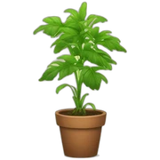 Plants sticker