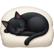 Black cat sleeping  sticker