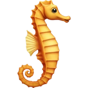 Seahorse  sticker