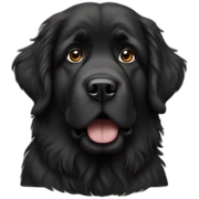 newfoundland sticker