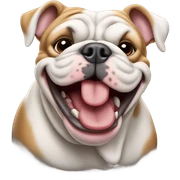 English bull dog smiling  sticker