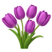 tulip bouquet  sticker