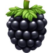 Blackberry  sticker