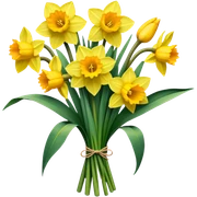 big bouquet Daffodil, stem, leaf sticker