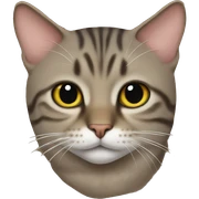 cat shotlad sticker