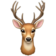 a deer sticker